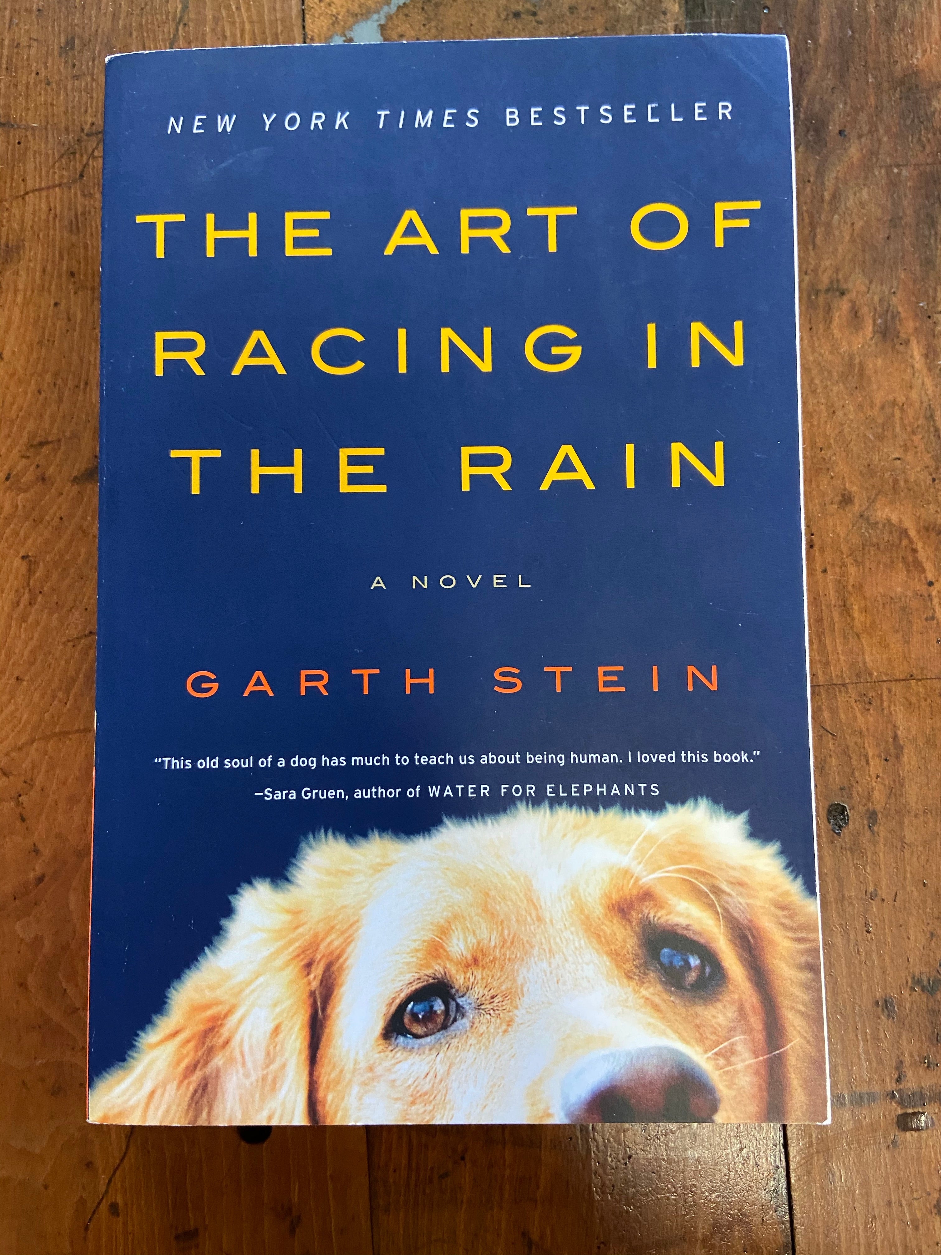 Art of Racing in the Rain