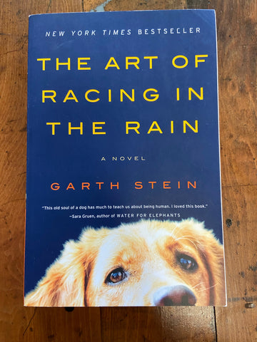 Art of Racing in the Rain