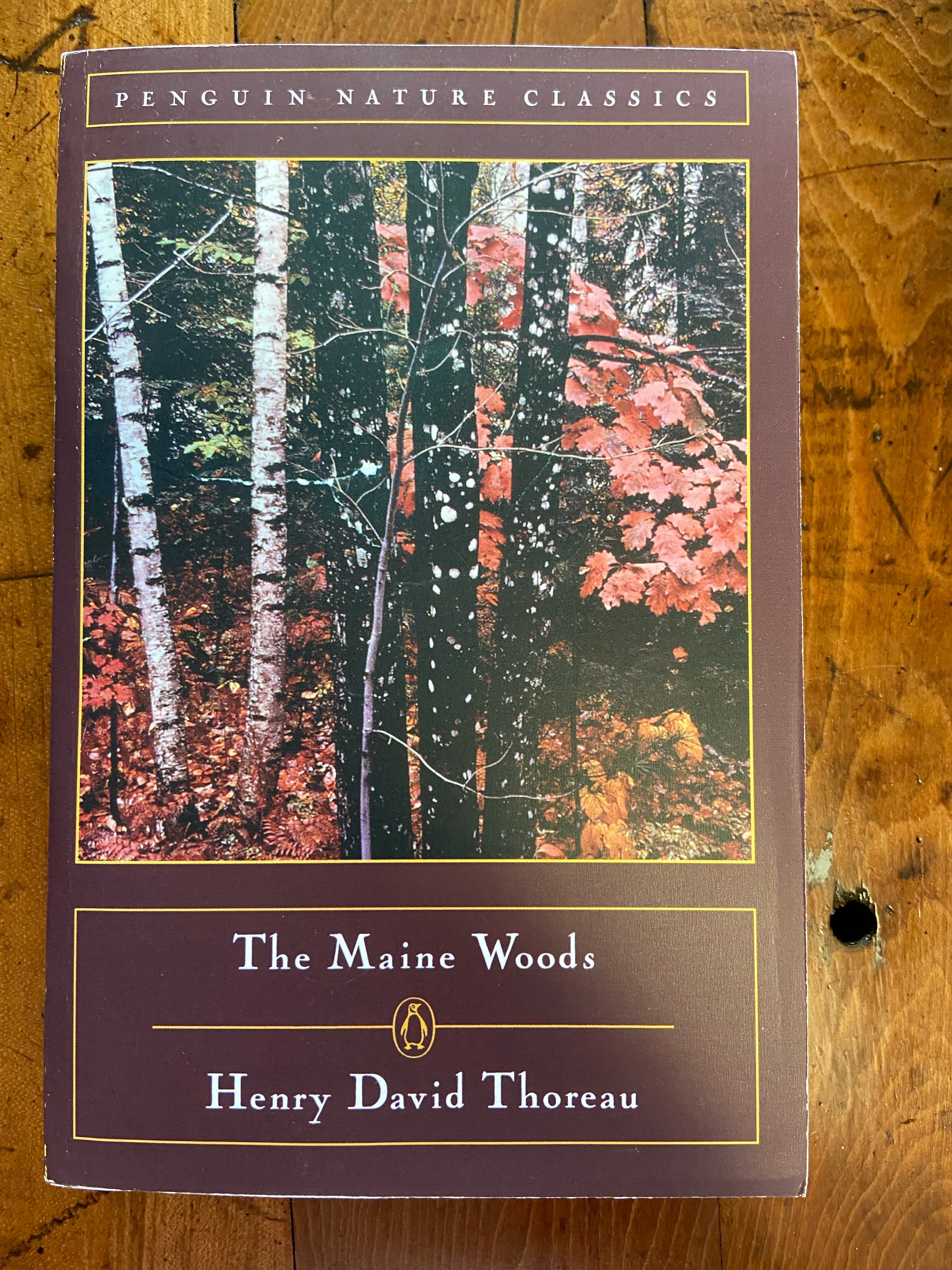 Maine Woods, The
