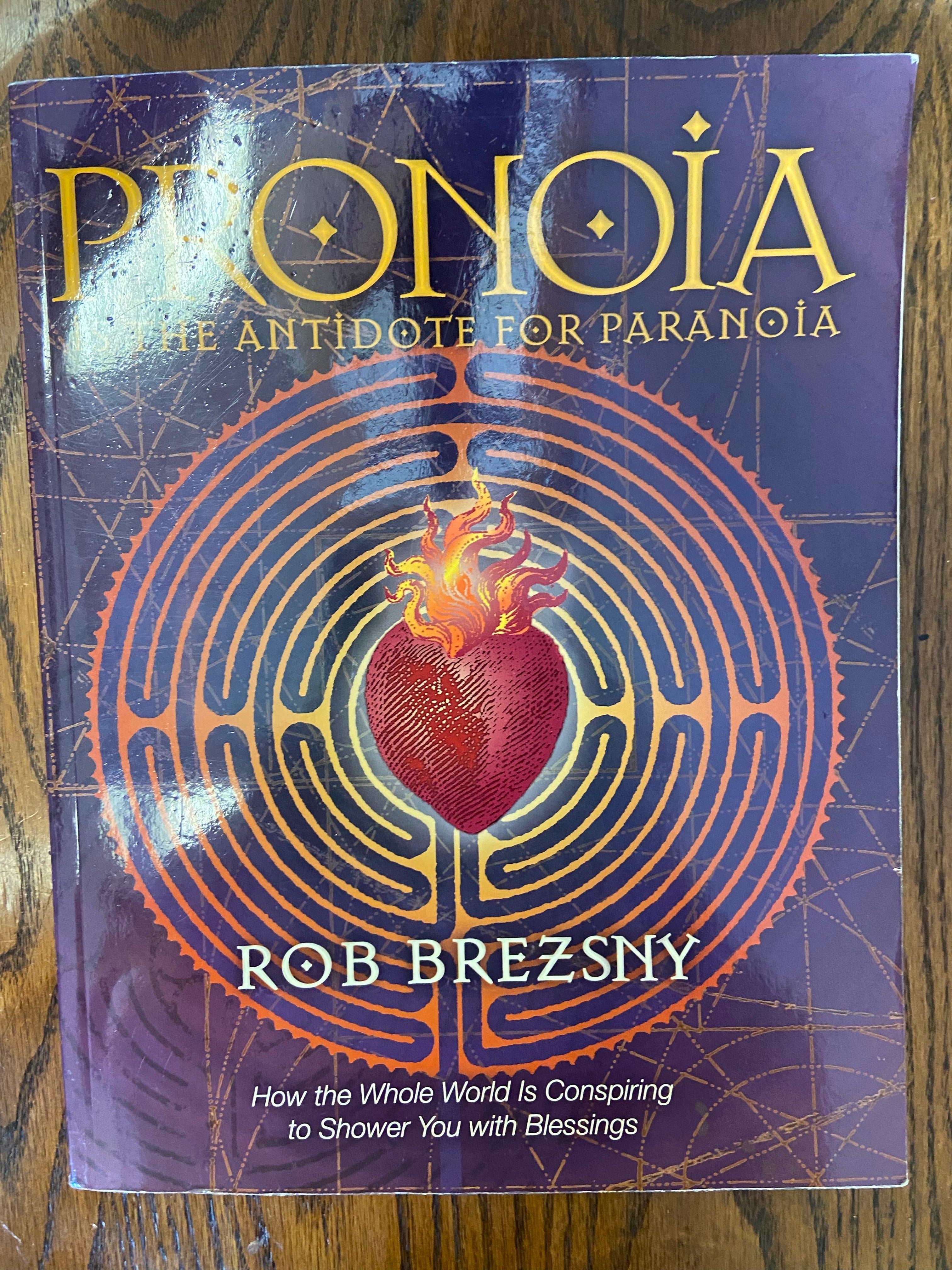Pronoia Is the Antidote for Paranoia