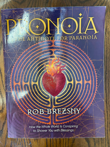 Pronoia Is the Antidote for Paranoia