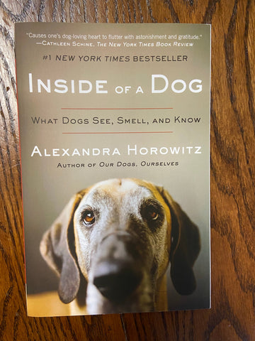 Inside of a Dog