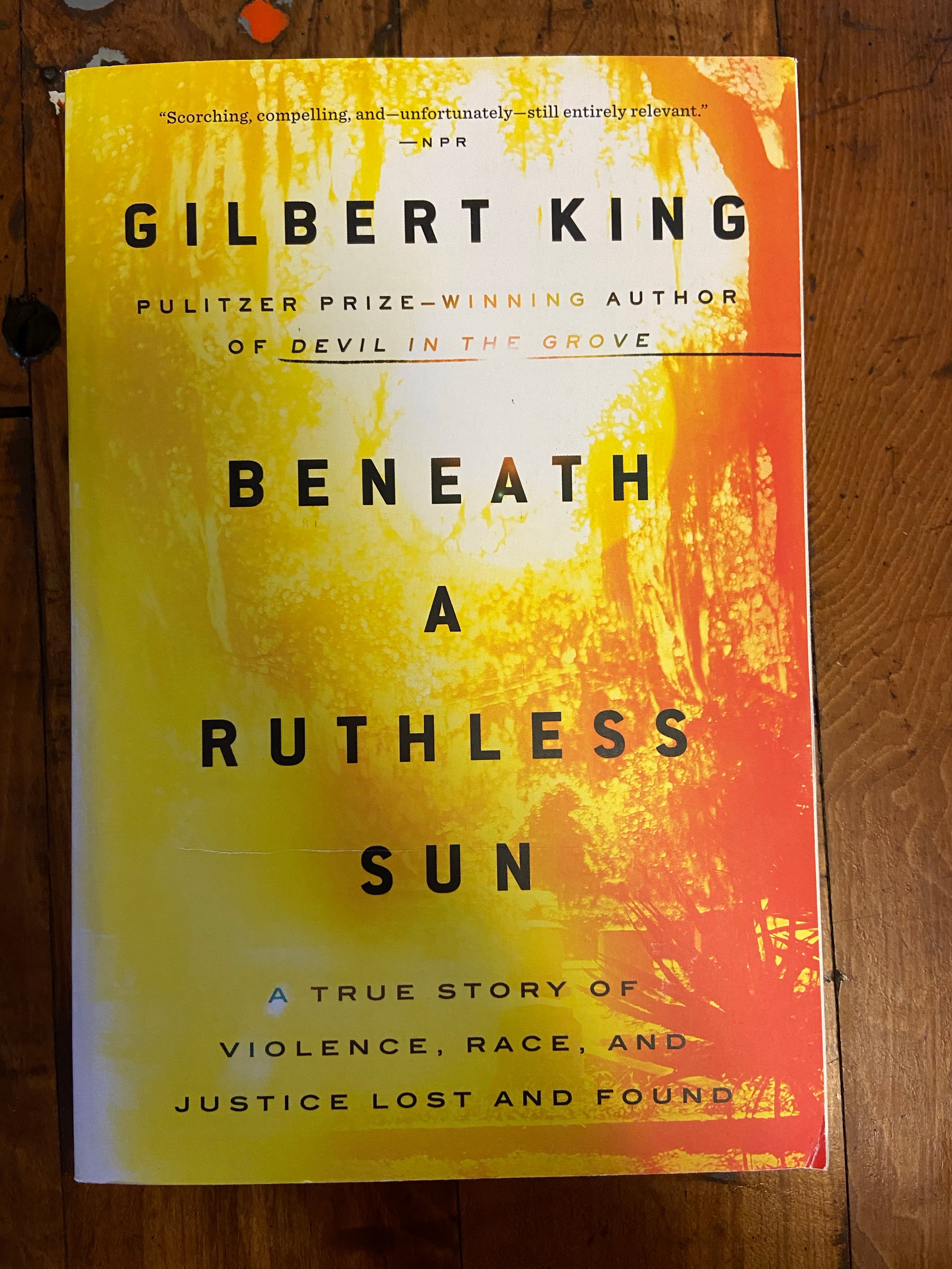 Beneath a Ruthless Sun